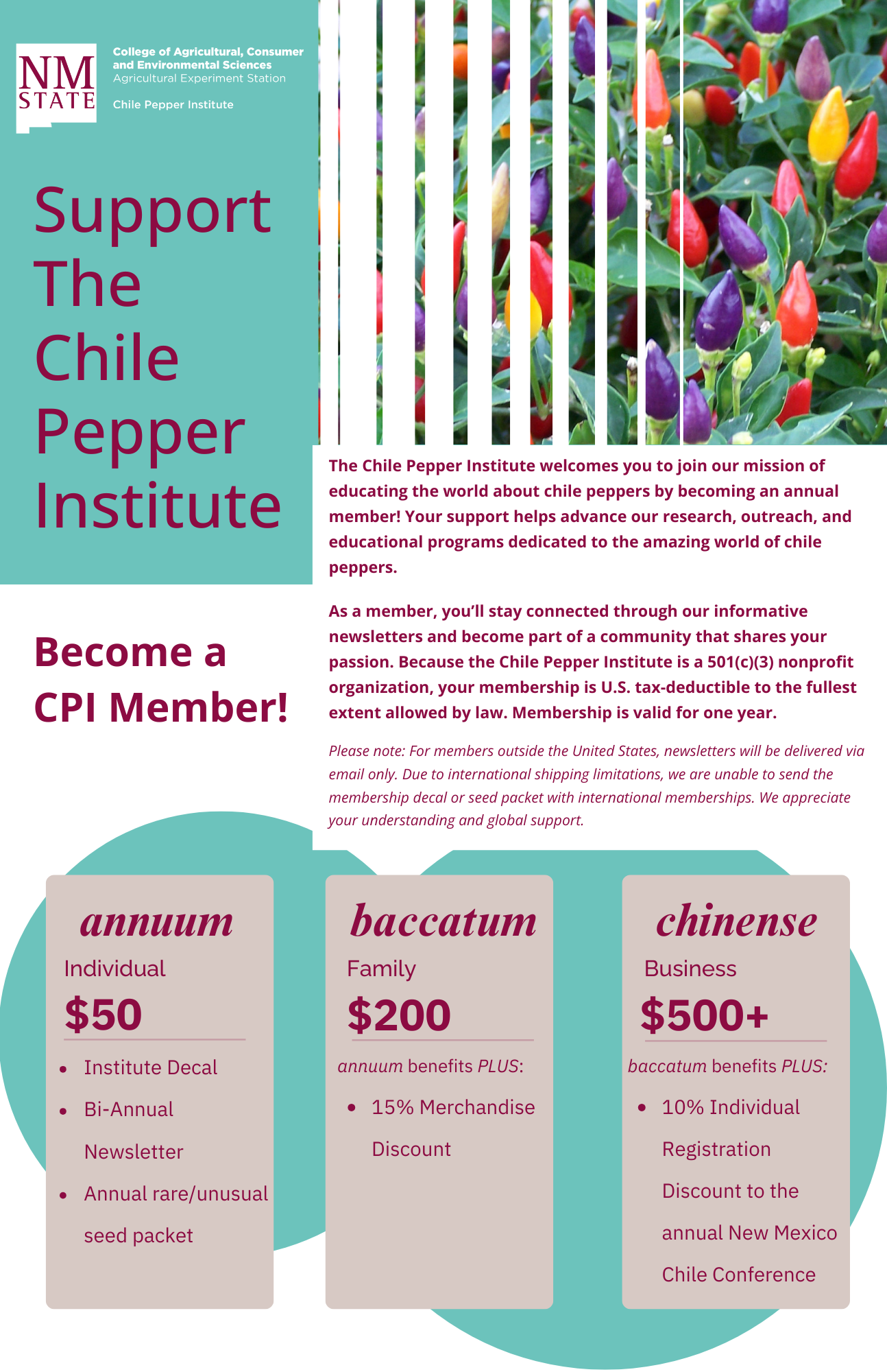 CPI Memberships flyer