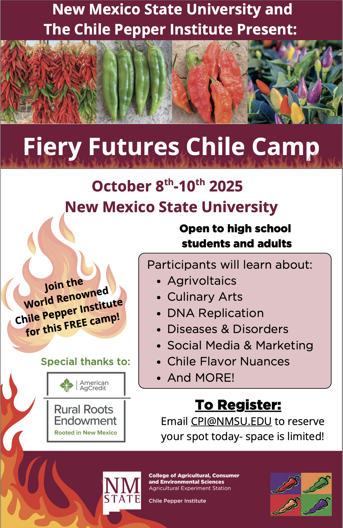Fiery Futures Chile Camp