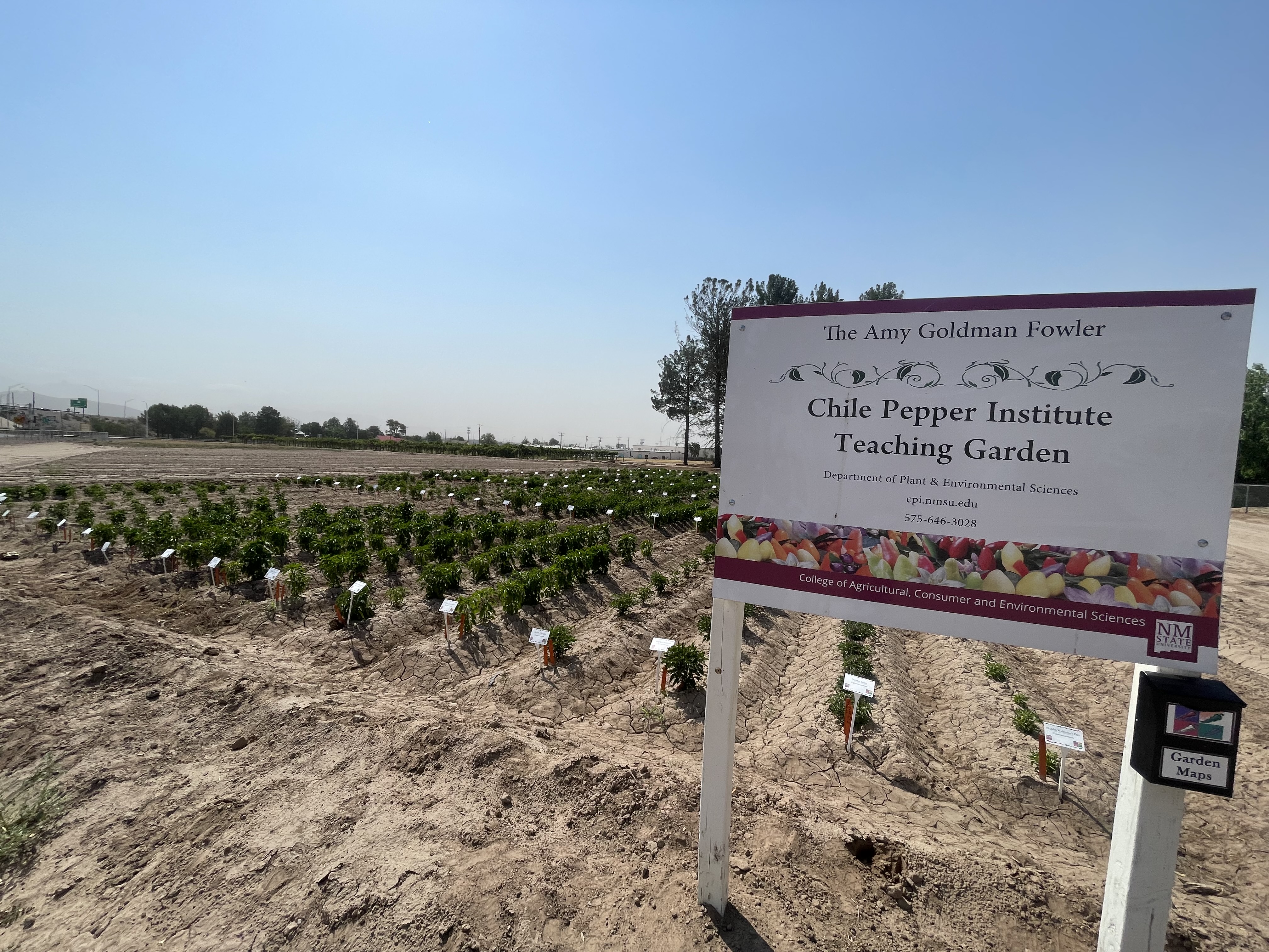 Image of the Amy Goldman-Fowler Chile Teaching Garden Sign 